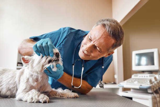 Best Emergency Root Canal Treatment in Ocean Gate, NJ